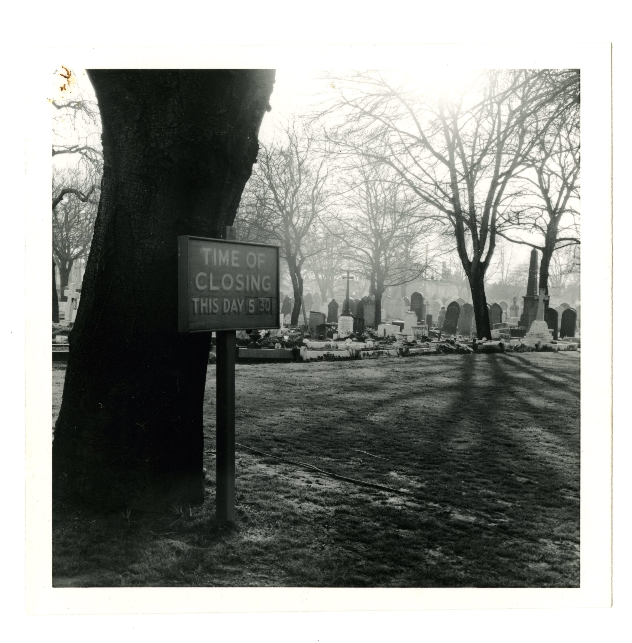 Larkin Spring Bank Cemetery p 238